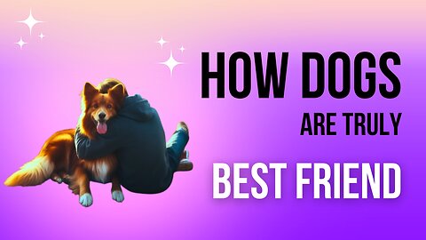 Why Dogs Are Truly Our Best Friends!