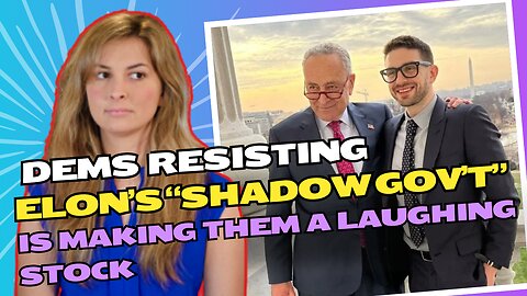 Democrat attempts to resist Elon Musk's alleged "shadow government" are so whacky