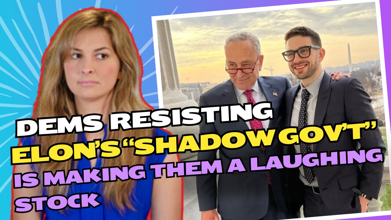 Democrat attempts to resist Elon Musk's alleged "shadow government" are so whacky