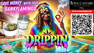 Trying Exotic Drippin' from Royal Cannabis! Mrs Dank Flamingo Review!!