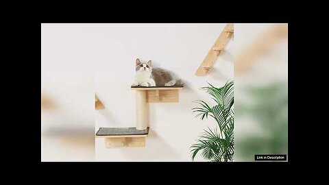 VEVOR Wall Mounted Cat Shelves Tree with Jumping Boards Nests Hammock Set Review