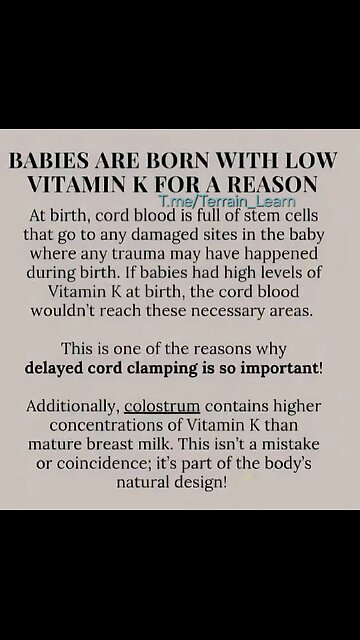 Remember cabbage patch dolls?