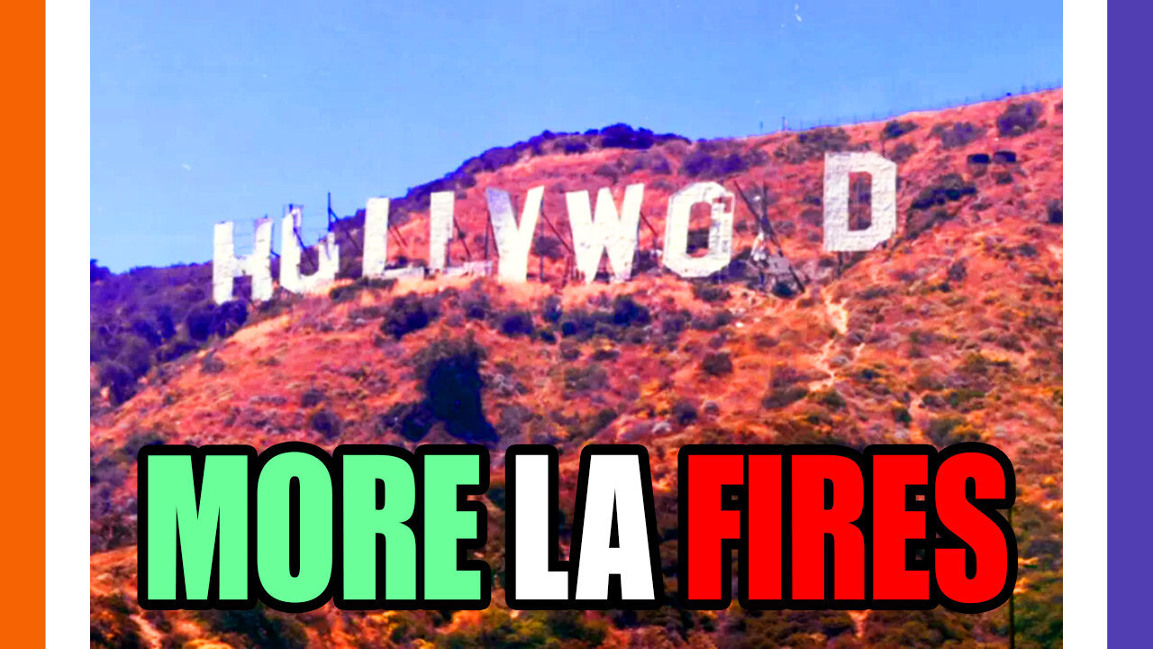 🔴LIVE: HOLLYWOOD HILLS ON FIRE, DEI Hires Destroyed LA, Joe Rogan Predicted The LA Fires 🟠⚪🟣