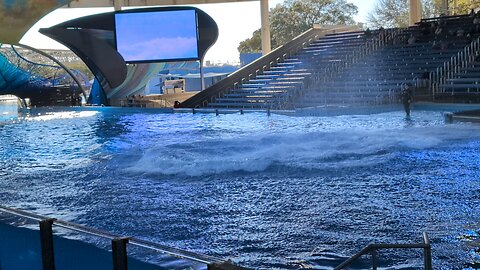 Sea World San Antonio