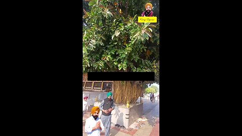 ਅਨੋਖੇ ਅਮਰ ਸ਼ਹੀਦ ਧੰਨ ਧੰਨ ਬਾਬਾ ਦੀਪ ਸਿੰਘ ਜੀ,