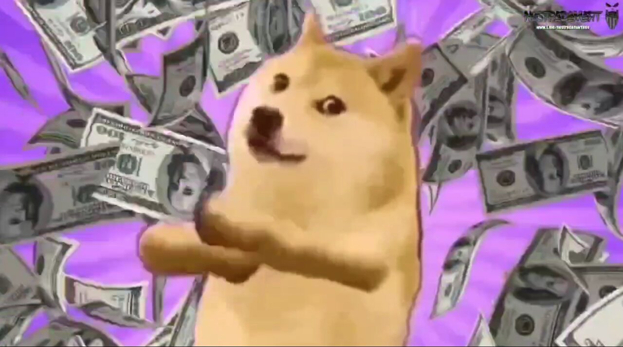 DOGE et MDS (#3)