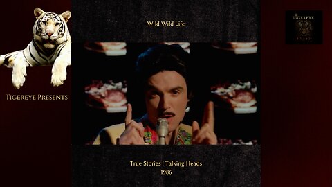 📰 True Stories (1986) | Wild Wild Life 🐅 | David Byrne | Talking Heads 🤠