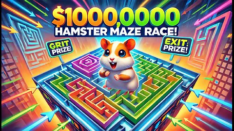 $100,000 Hamster Maze Race! Can They EXIT_