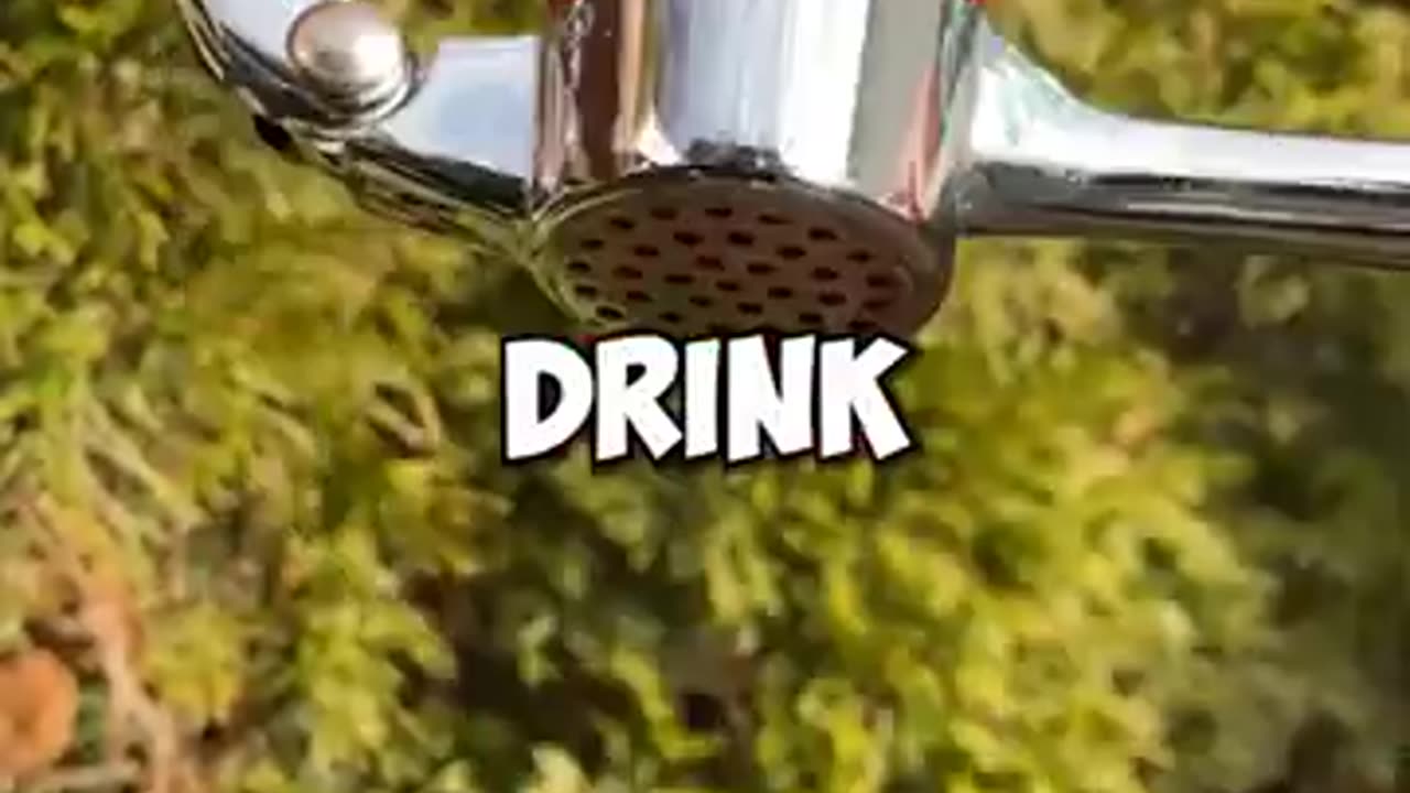 Random Facts That Can Save Your Life!