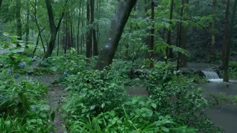 The streams and rain in the valley