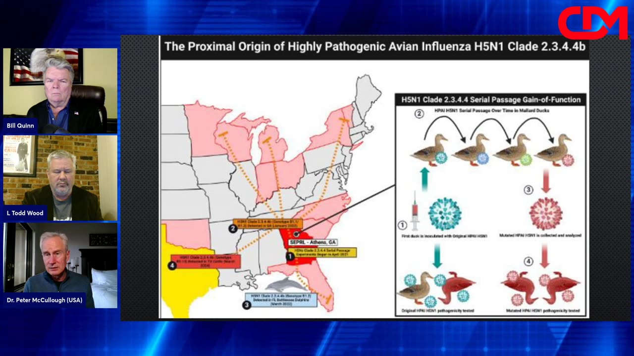 CDM CLIPS: Dr. McCullough On Bird Flu Spread/Danger 12/31/24