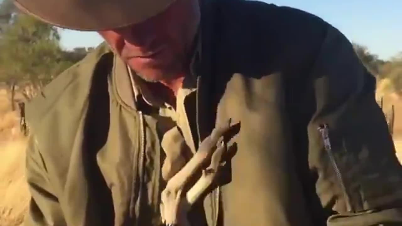 Baby kangaroos need their mother's pouches to stay warm and grow.