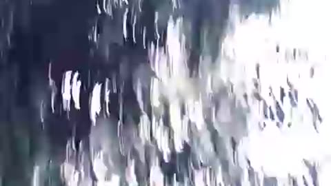 Tere Jaise hajar Aaegi hajar Jayegi