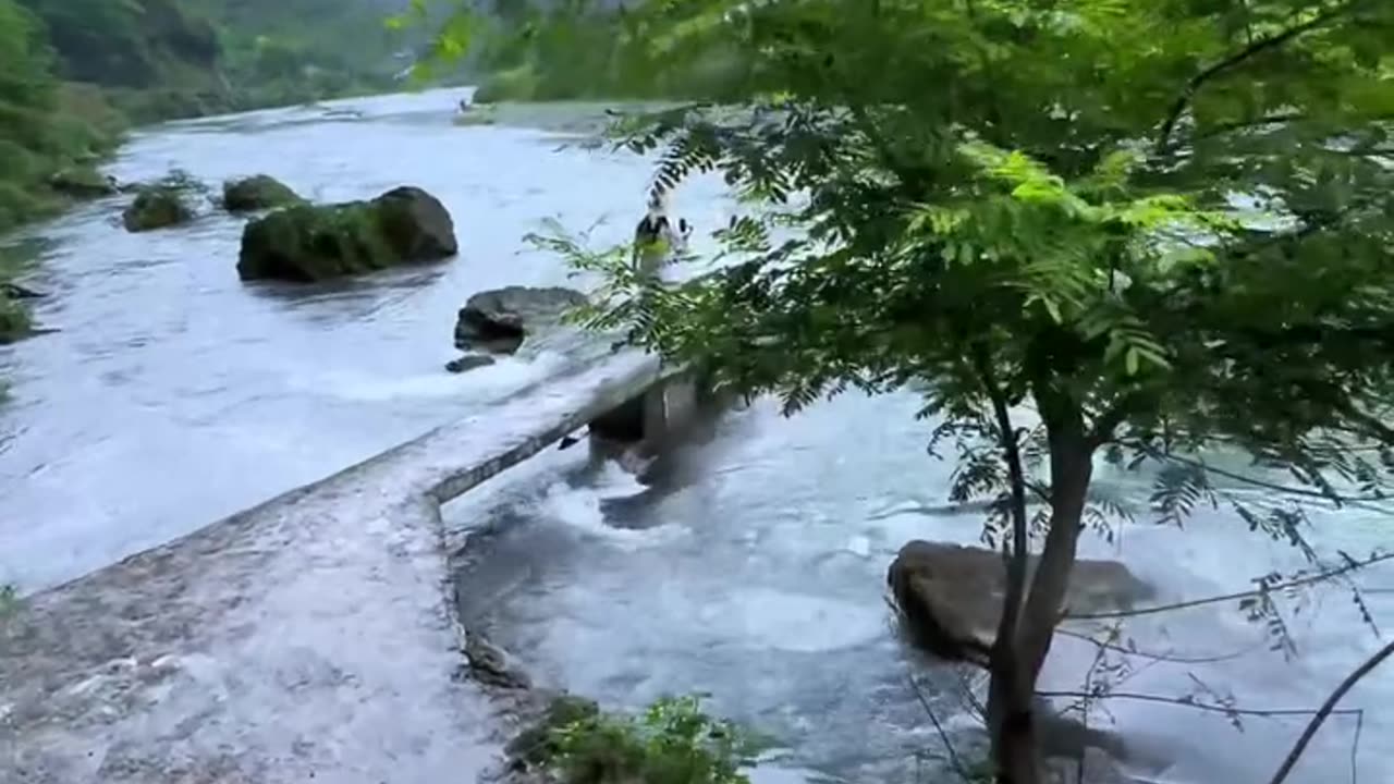 "Mystical River Crossing: A Peaceful Journey Through Mist and Nature"