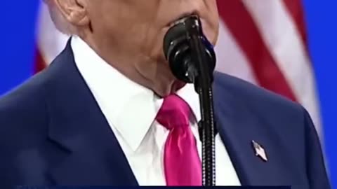 Reaction - Everything Joe Biden Touched turned to | #box7345 on #Twitch