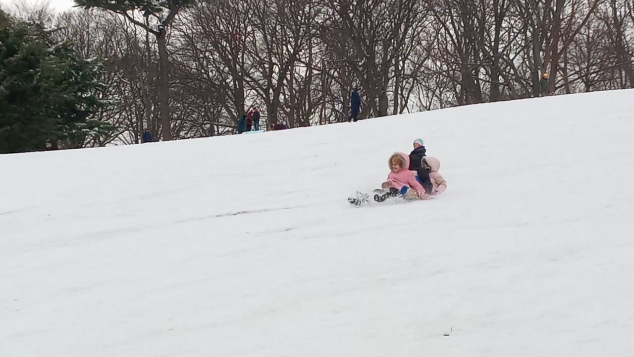 Snow Day at Owl's Head Park