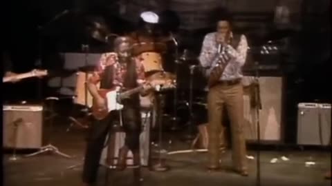 Muddy Waters - You Don't Have to Go - ChicagoFest 1981