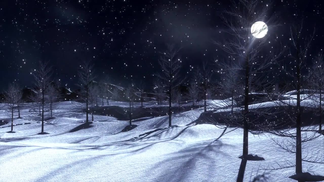 Snowfall Winter