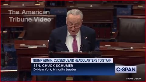 Watch: Chuck Schumer Suffers TDS Meltdown Over Elon On Senate Floor