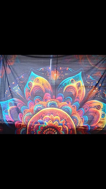 Divine Order #oracle #oraclereading