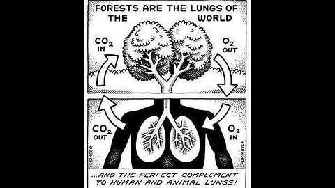 CIA Akten denken auf, dass CO2 gut für die Menschen ist.