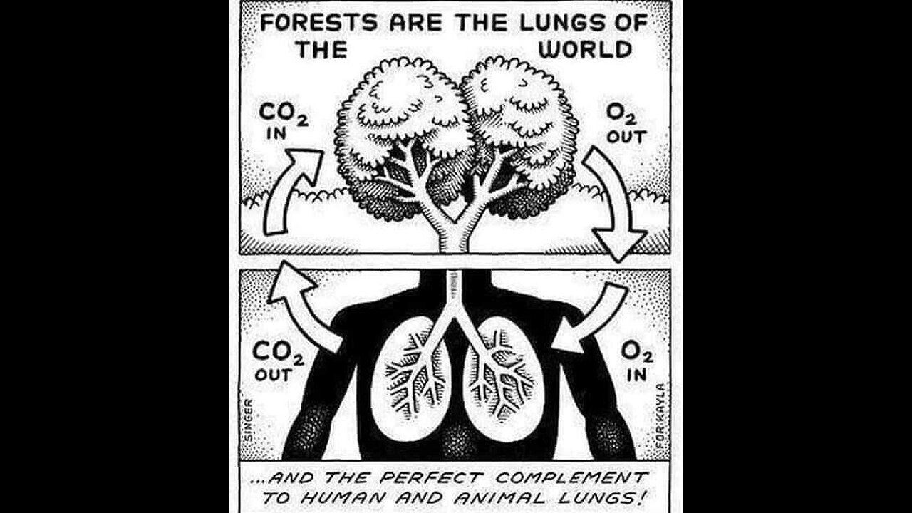 CIA Akten denken auf, dass CO2 gut für die Menschen ist.