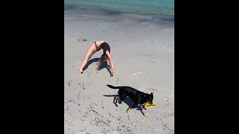 yoga flow with a dog on the beach