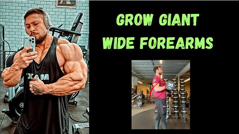 Top 3 Forearm Exercises | For STRONG Forearms