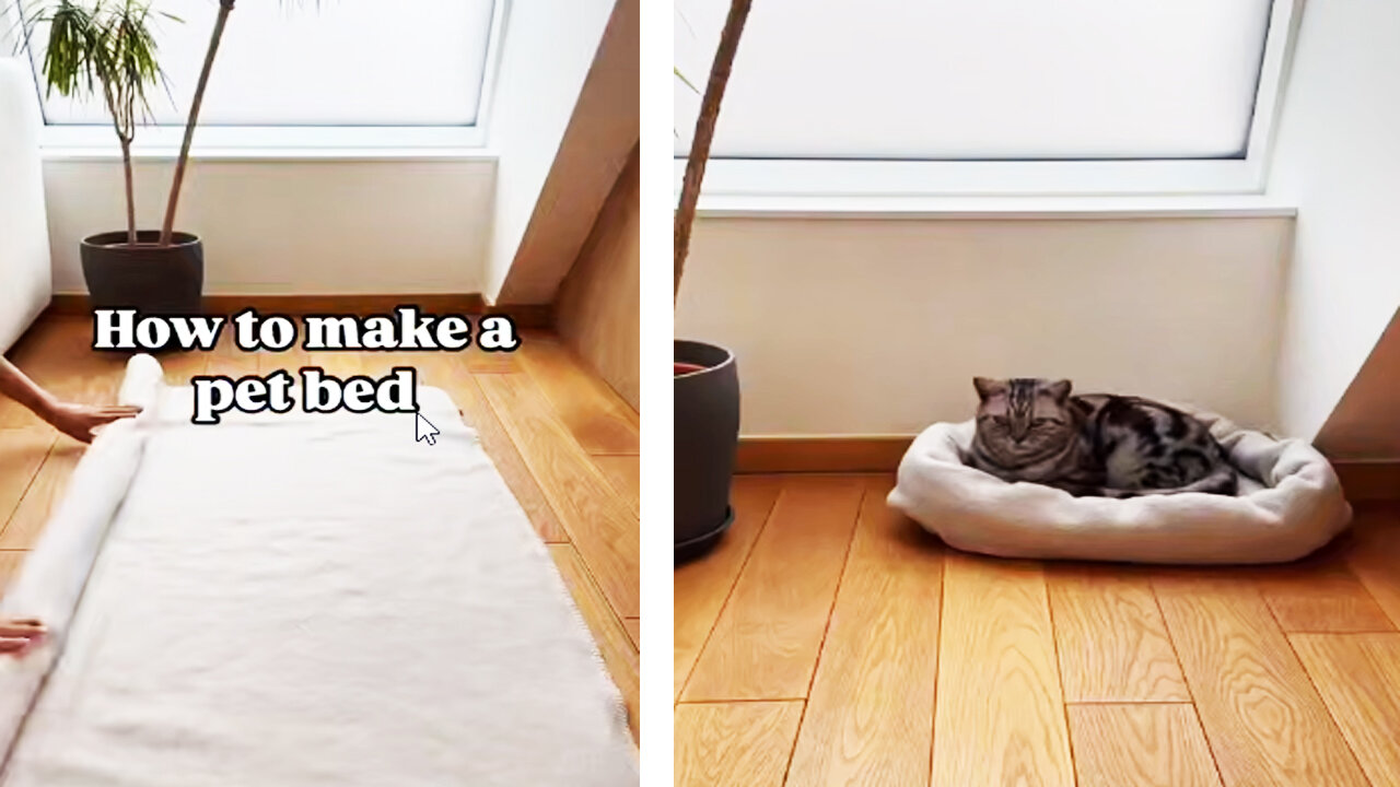 How to quickly make a cat bed