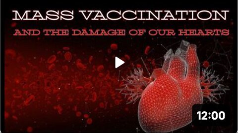 Mass Vaccination| The Damage of The HEART