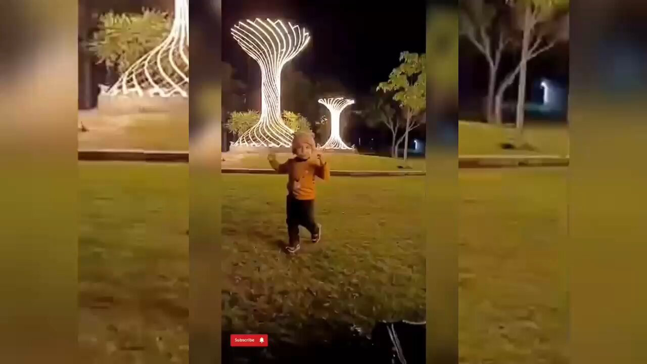 Playing with a Hungry Cat