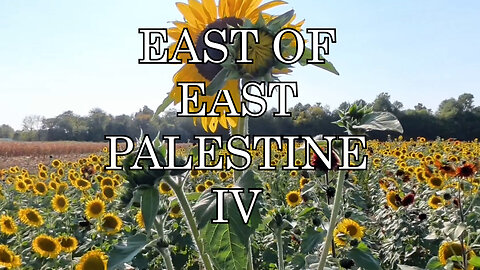 East of East Palestine IV