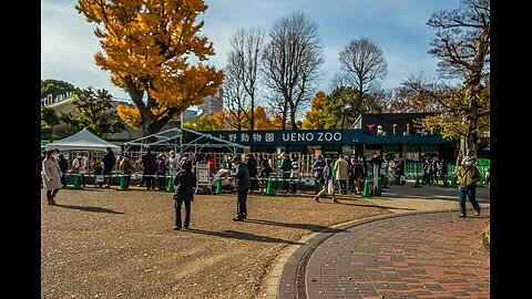 Ueno Zoological Gardens