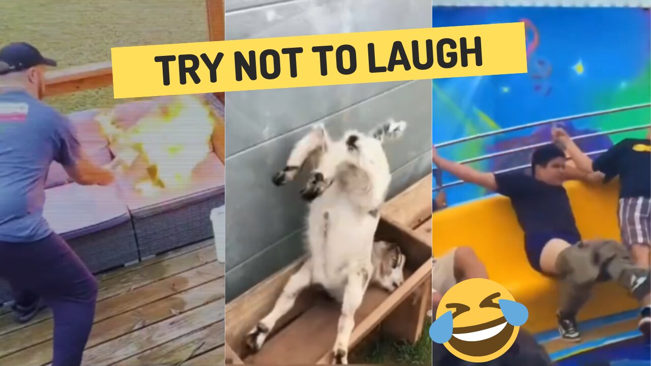Funny videos
