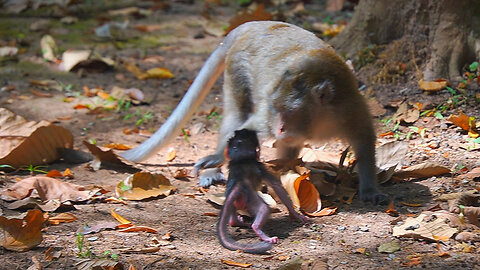 Mom Anna Told Newborn Baby AMELIA To Walk On Herself