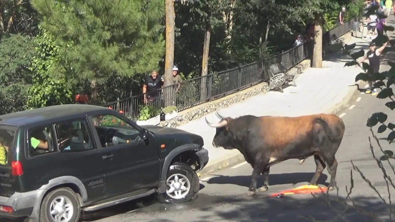 Unbelievable Bull vs. 4x4: Watch the Chaos Unfold! | ViralHog"