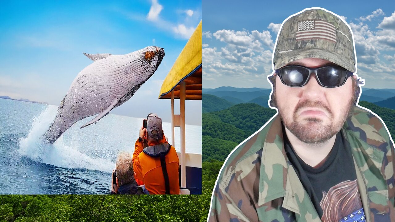 Craziest Animal Encounters of All Time (DDOI) - Reaction! (BBT)