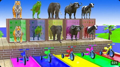 Long Slide Game With Elephant Gorilla Buffalo Hippopotamus Tiger 3d Animal Game Funny 3d Animals #7