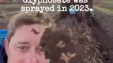 This Farmer Talks About The TOXIC Chemical Glyphosate aka RoundUp