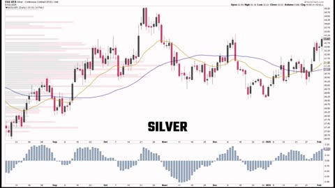 Navigating the Markets: Trades, Risks and Bonds