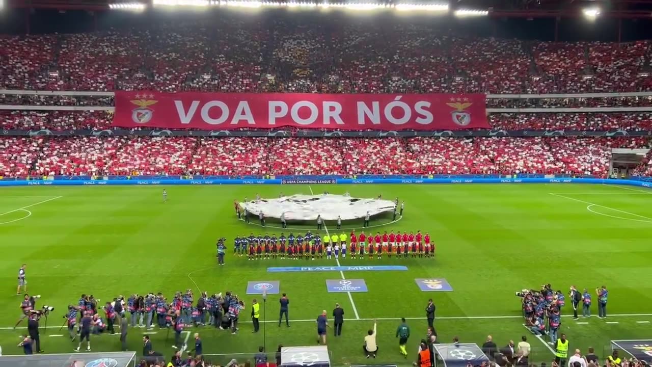 Benfica vs PSG 'VOA POR NOS' (UEFA Champions League)