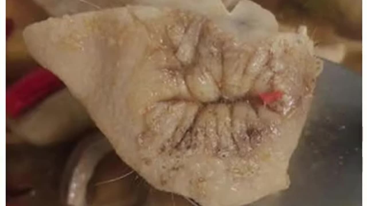 Is this what I think it is????