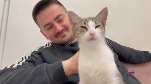 Funny Cat Demands Attention from Human Dad