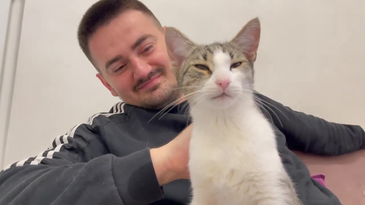 Funny Cat Demands Attention from Human Dad