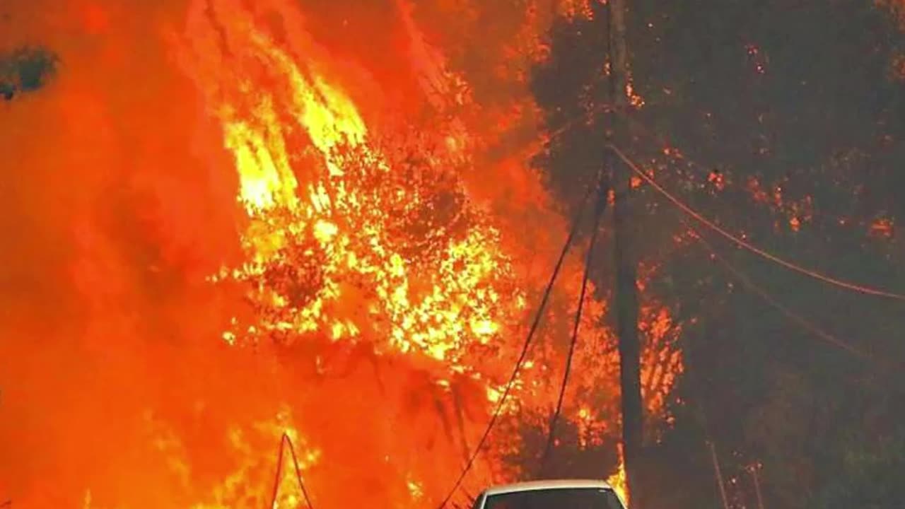 Forest fire America