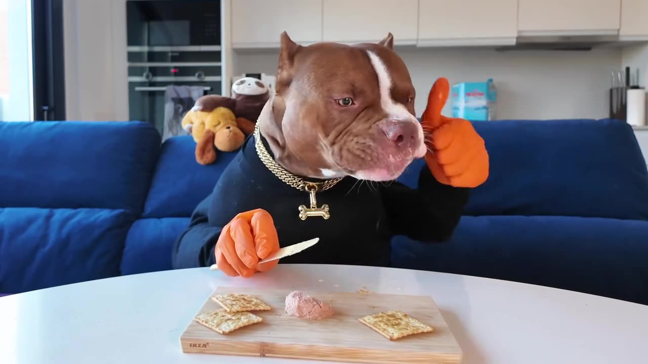 Viral 🔥🔥funny🤣🤣 videos