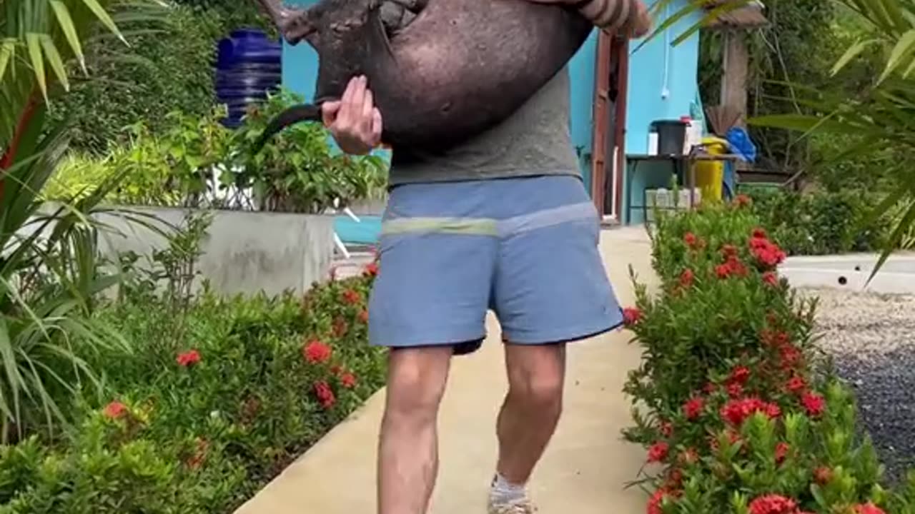 Shaq ❤️ he was nearing the end on the streets in Thailand, but after a 6 week