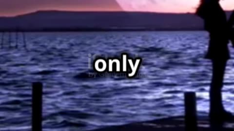 Moonlit Romance: A 3D Animated Love Story