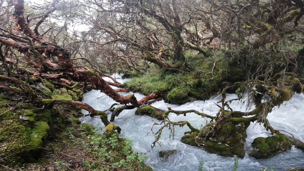 River in Quebrada Llaca (Huaraz, Ancash, Peru)