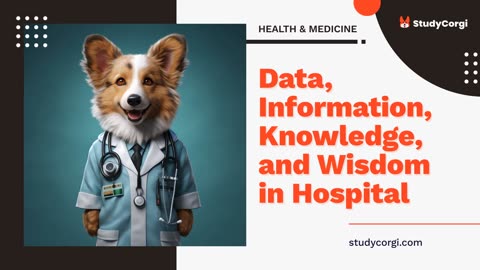 Data, Information, Knowledge, and Wisdom in Hospital - Research Paper Example